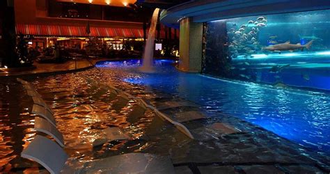 golden nugget shark tank free.